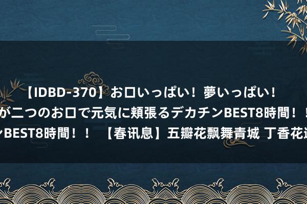 【IDBD-370】お口いっぱい！夢いっぱい！ MEGAマラ S級美女達が二つのお口で元気に頬張るデカチンBEST8時間！！ 【春讯息】五瓣花飘舞青城 丁香花邀你看过来