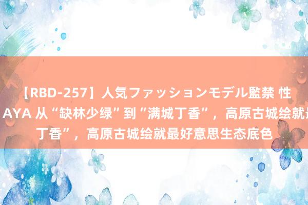 【RBD-257】人気ファッションモデル監禁 性虐コレクション3 AYA 从“缺林少绿”到“满城丁香”，高原古城绘就最好意思生态底色