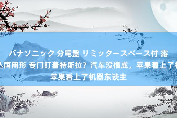 パナソニック 分電盤 リミッタースペース付 露出・半埋込両用形 专门盯着特斯拉？汽车没搞成，苹果看上了机器东谈主