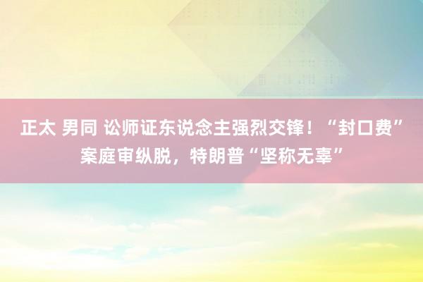 正太 男同 讼师证东说念主强烈交锋！“封口费”案庭审纵脱，特朗普“坚称无辜”