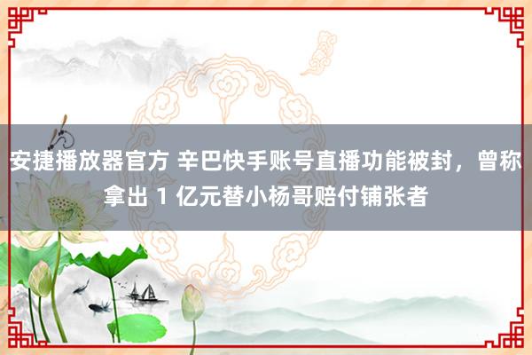 安捷播放器官方 辛巴快手账号直播功能被封，曾称拿出 1 亿元替小杨哥赔付铺张者