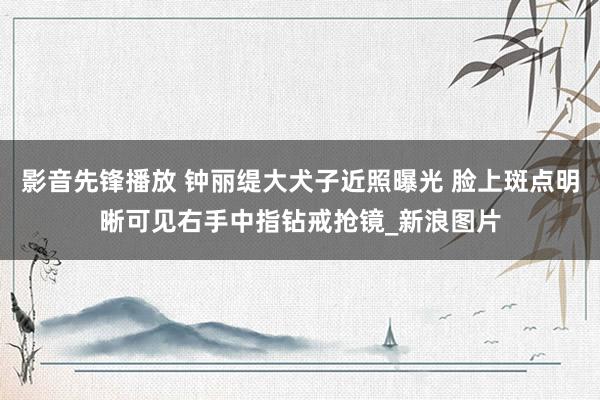 影音先锋播放 钟丽缇大犬子近照曝光 脸上斑点明晰可见右手中指钻戒抢镜_新浪图片