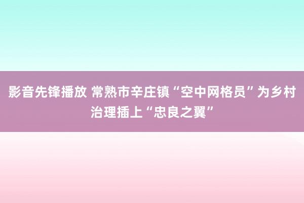 影音先锋播放 常熟市辛庄镇“空中网格员”为乡村治理插上“忠良之翼”