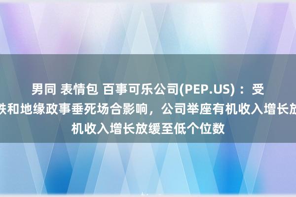 男同 表情包 百事可乐公司(PEP.US) ：受破钞者开销下跌和地缘政事垂死场合影响，公司举座有机收入增长放缓至低个位数