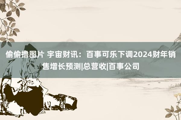 偷偷撸图片 宇宙财讯：百事可乐下调2024财年销售增长预测|总营收|百事公司