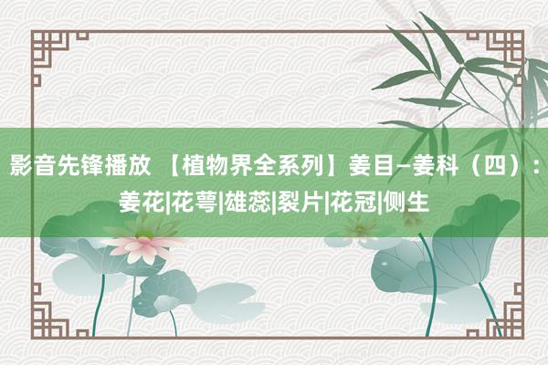 影音先锋播放 【植物界全系列】姜目—姜科（四）：姜花|花萼|雄蕊|裂片|花冠|侧生