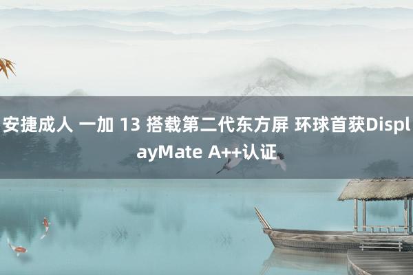 安捷成人 一加 13 搭载第二代东方屏 环球首获DisplayMate A++认证