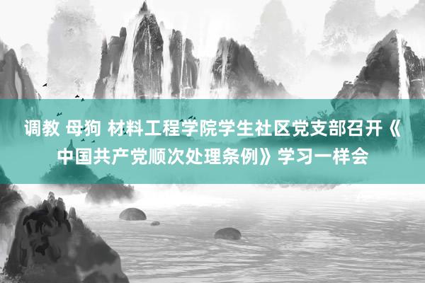 调教 母狗 材料工程学院学生社区党支部召开《中国共产党顺次处理条例》学习一样会