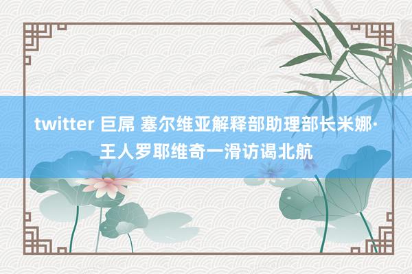 twitter 巨屌 塞尔维亚解释部助理部长米娜·王人罗耶维奇一滑访谒北航